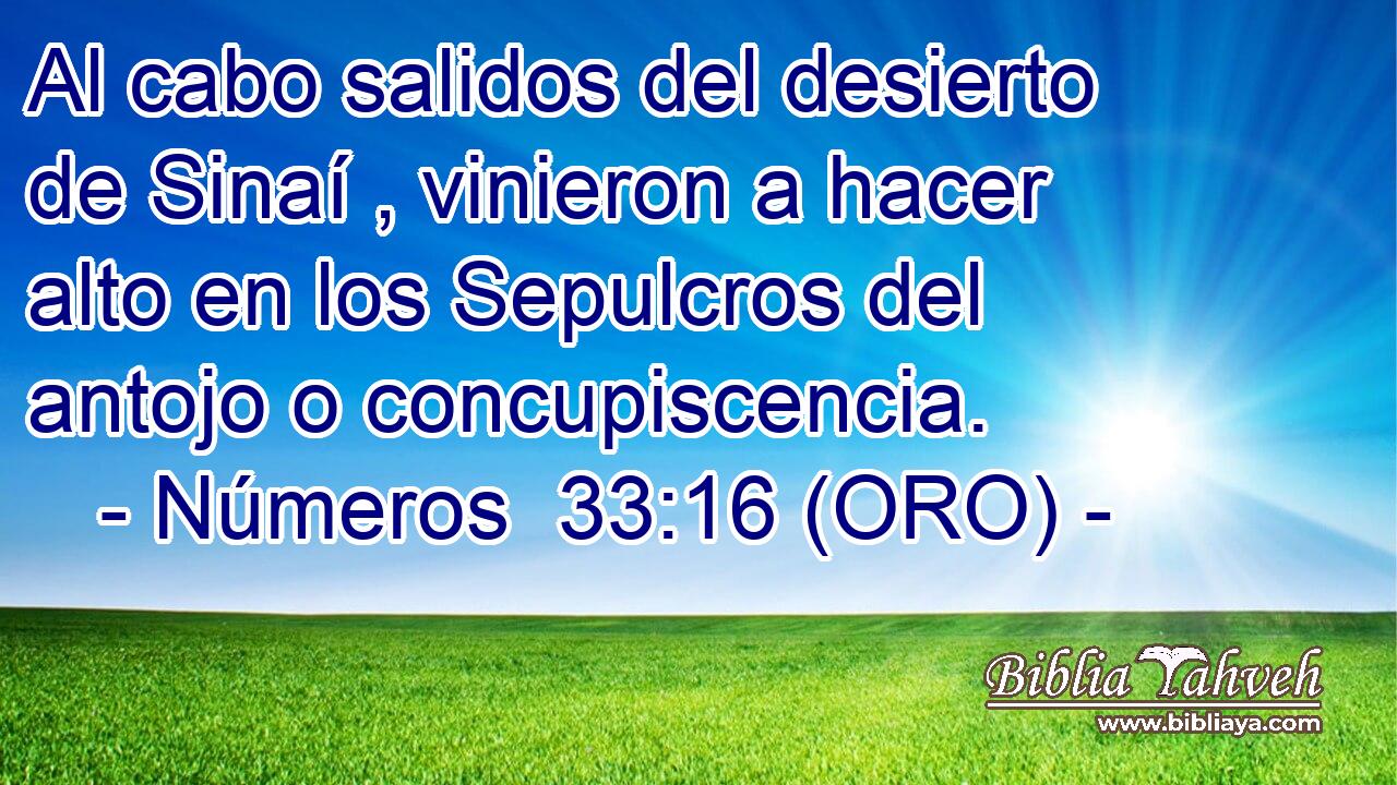  Al cabo salidos del desierto de Sinaí , vinieron a hacer alto en los Sepulcros del antojo o concupiscencia. 