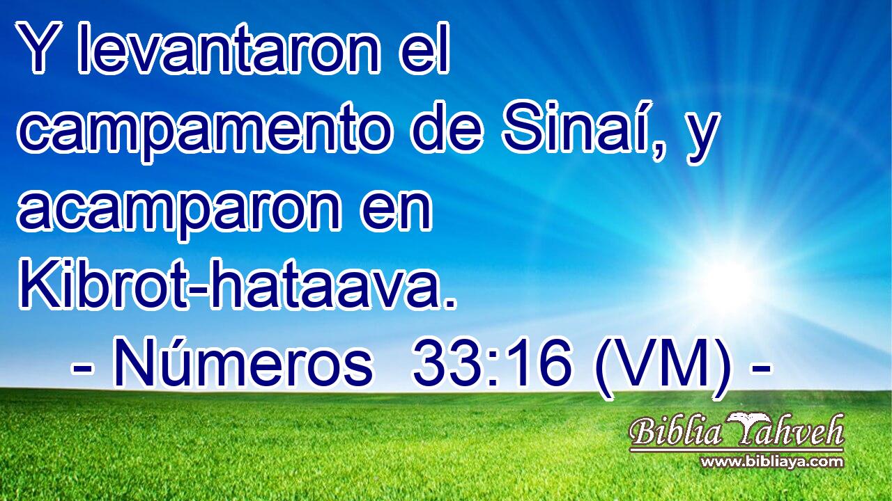  Y levantaron el campamento de Sinaí, y acamparon en Kibrot-hataava. 