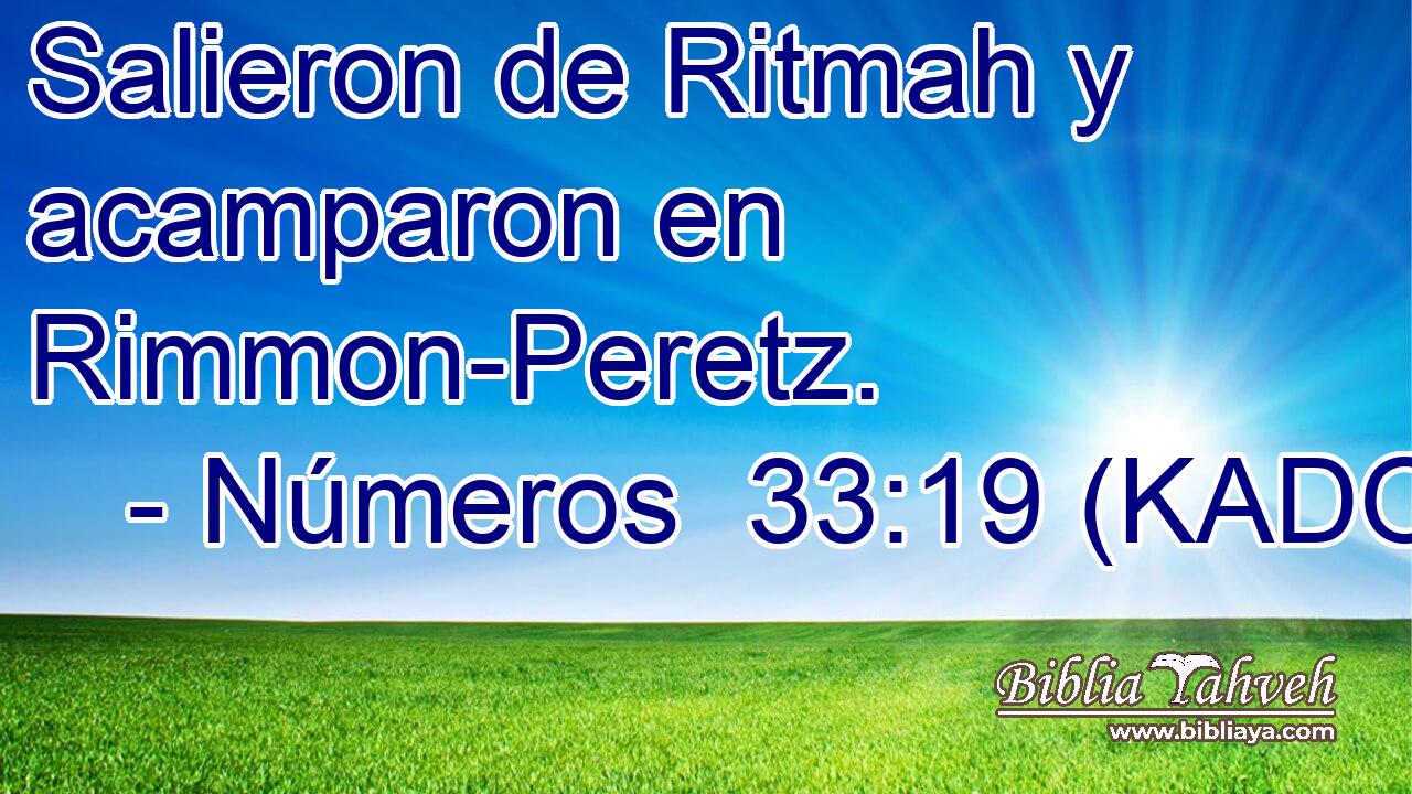  Salieron de Ritmah y acamparon en Rimmon-Peretz. 