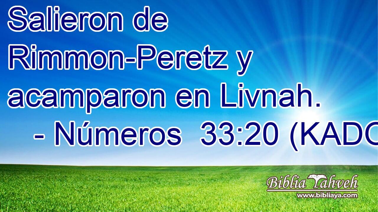  Salieron de Rimmon-Peretz y acamparon en Livnah. 