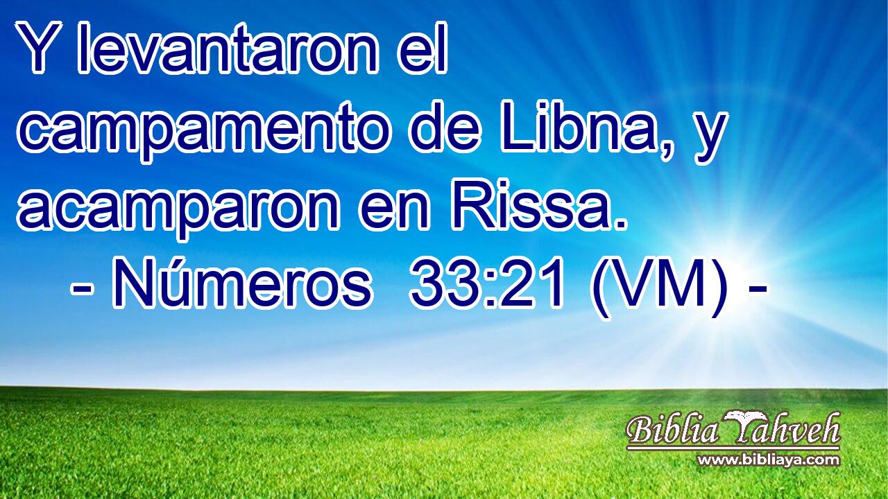 Y levantaron el campamento de Libna, y acamparon en Rissa. 