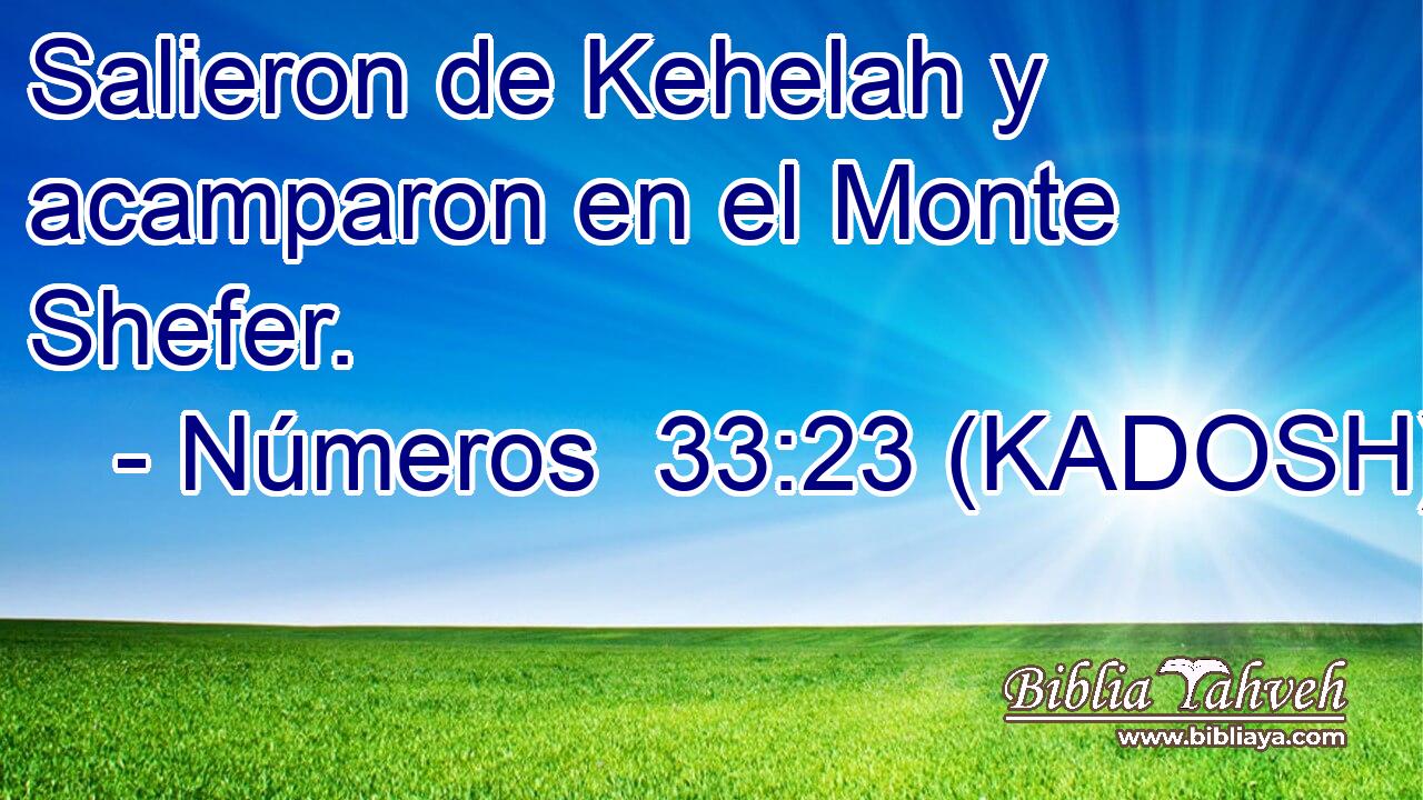  Salieron de Kehelah y acamparon en el Monte Shefer. 