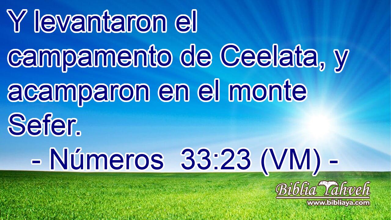  Y levantaron el campamento de Ceelata, y acamparon en el monte Sefer. 