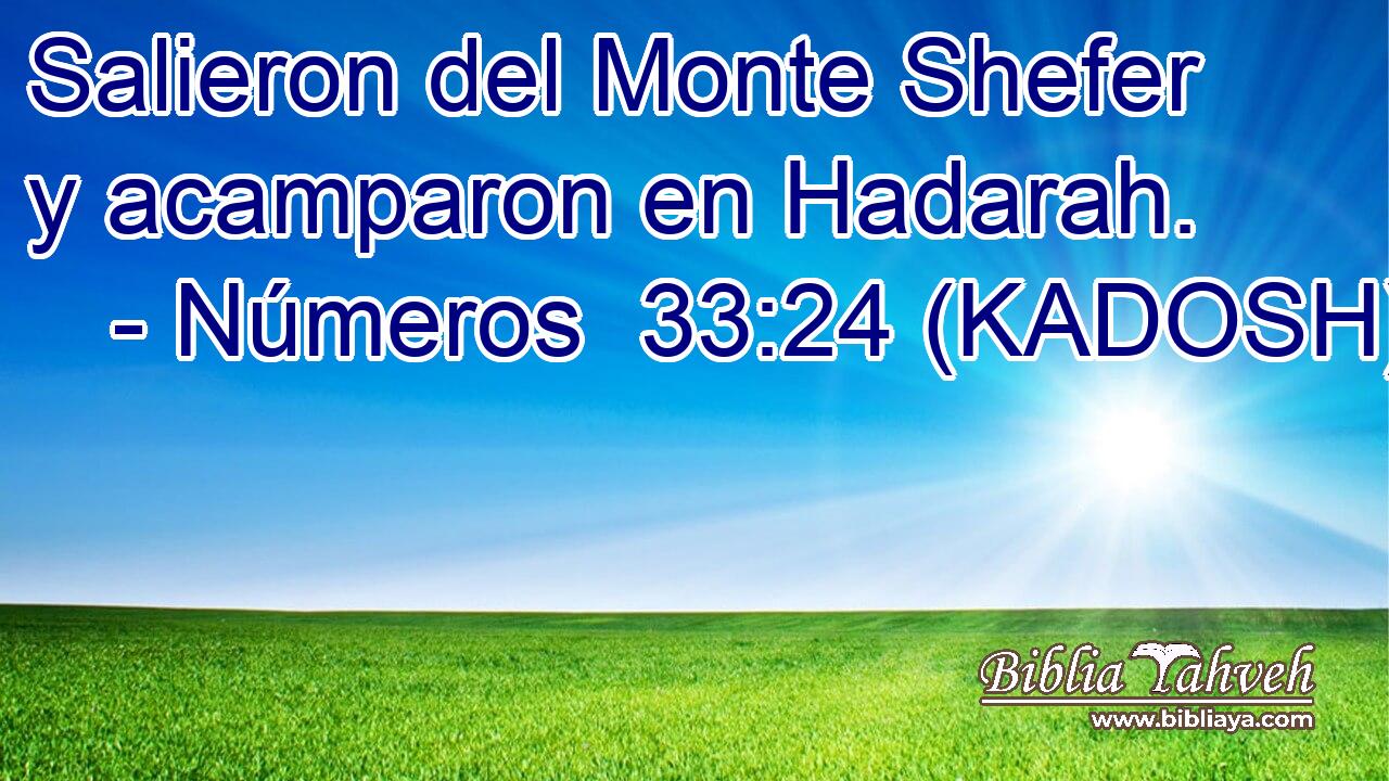  Salieron del Monte Shefer y acamparon en Hadarah. 