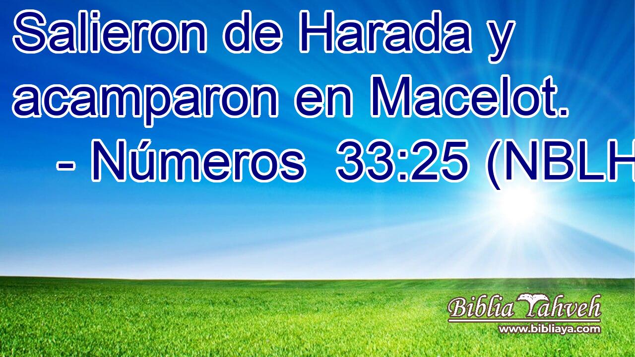  Salieron de Harada y acamparon en Macelot. 