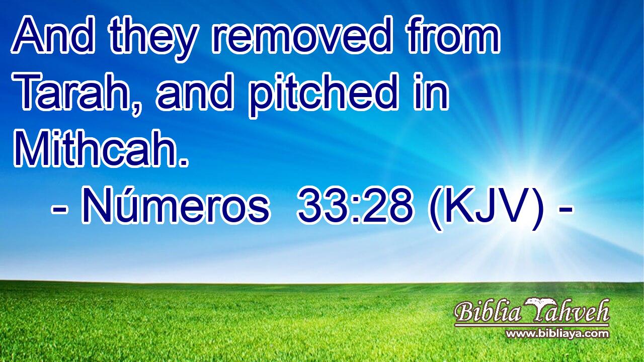 And they removed from Tarah, and pitched in Mithcah.