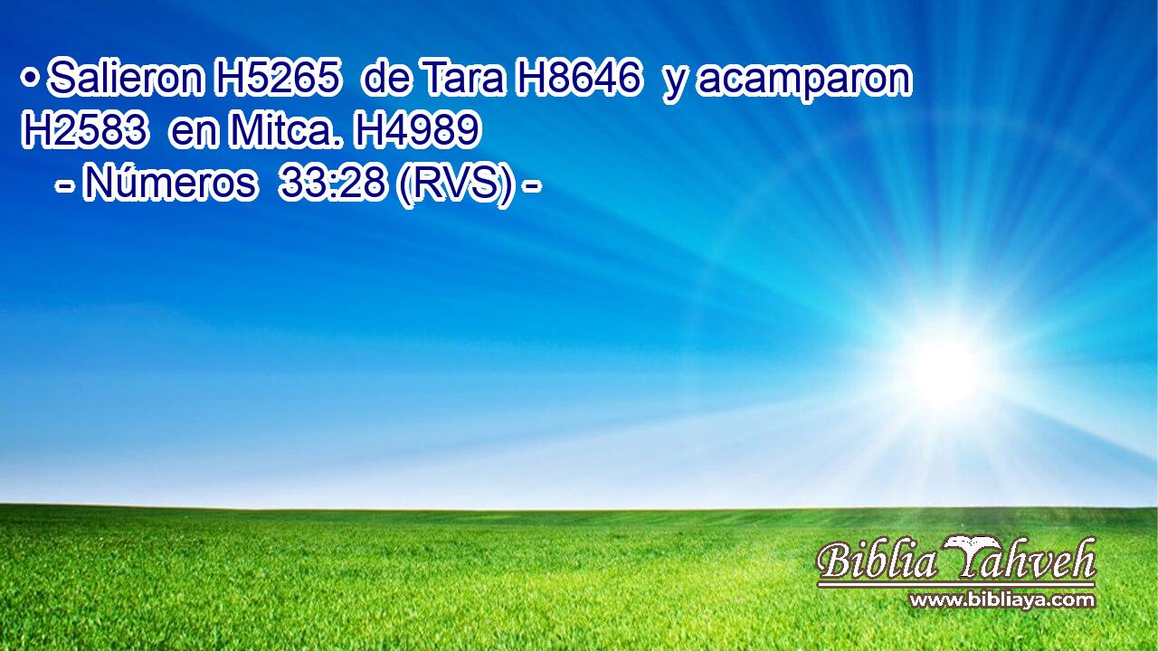 • Salieron H5265  de Tara H8646  y acamparon H2583  en Mitca. H4989  