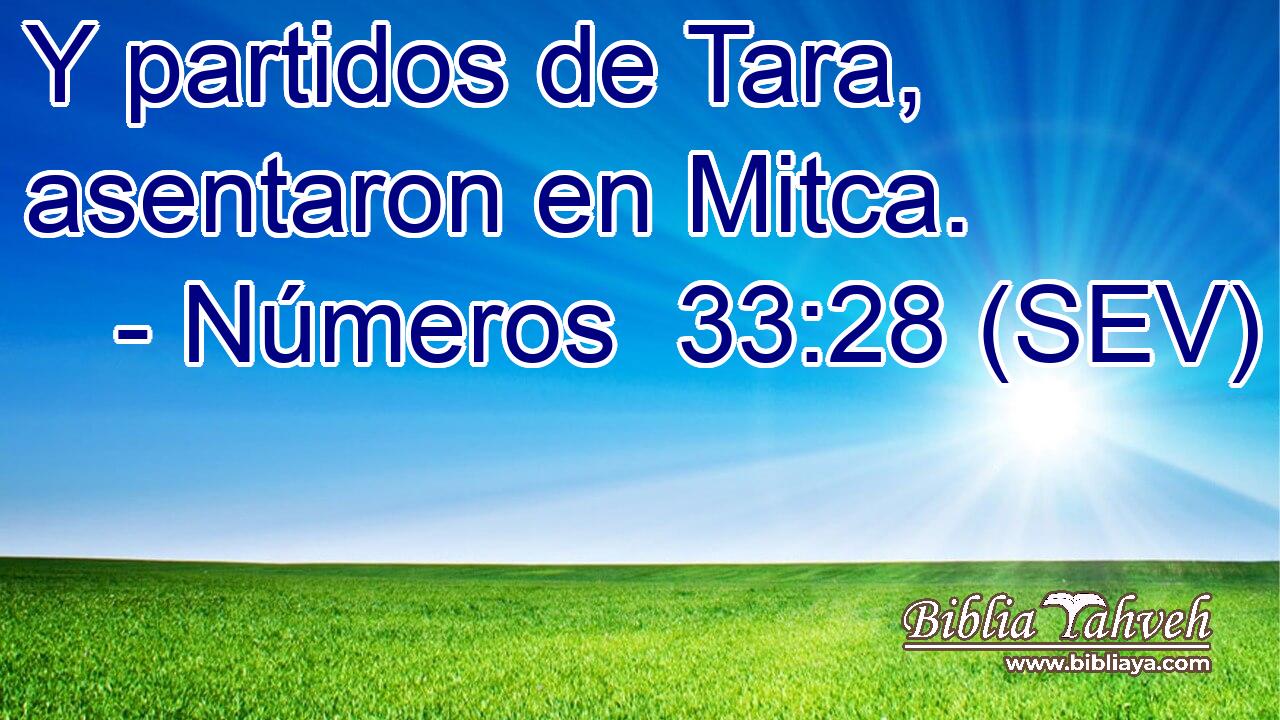 Y partidos de Tara, asentaron en Mitca.