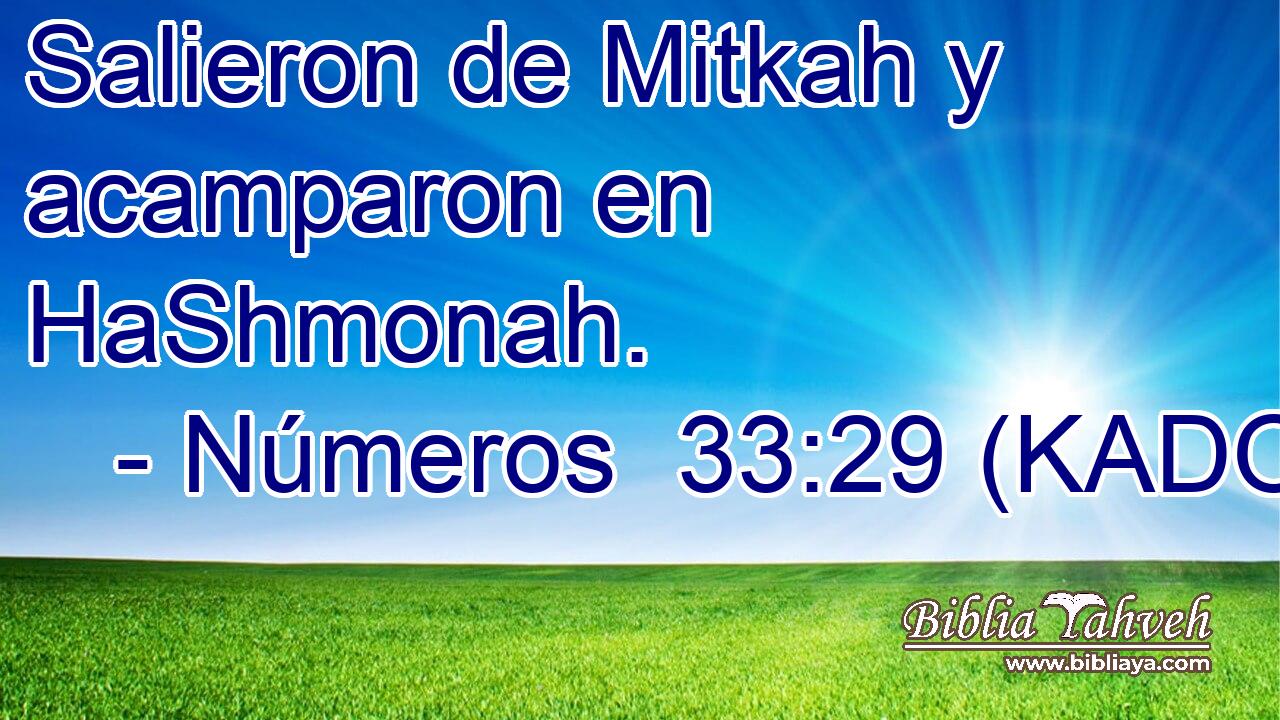  Salieron de Mitkah y acamparon en HaShmonah. 
