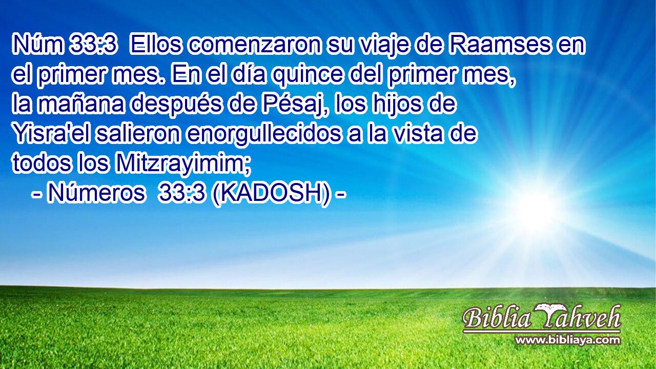  Ellos comenzaron su viaje de Raamses en el primer mes. En el día quince del primer mes, la mañana después de Pésaj, los hijos de Yisra'el salieron enorgullecidos a la vista de todos los Mitzrayimim; 