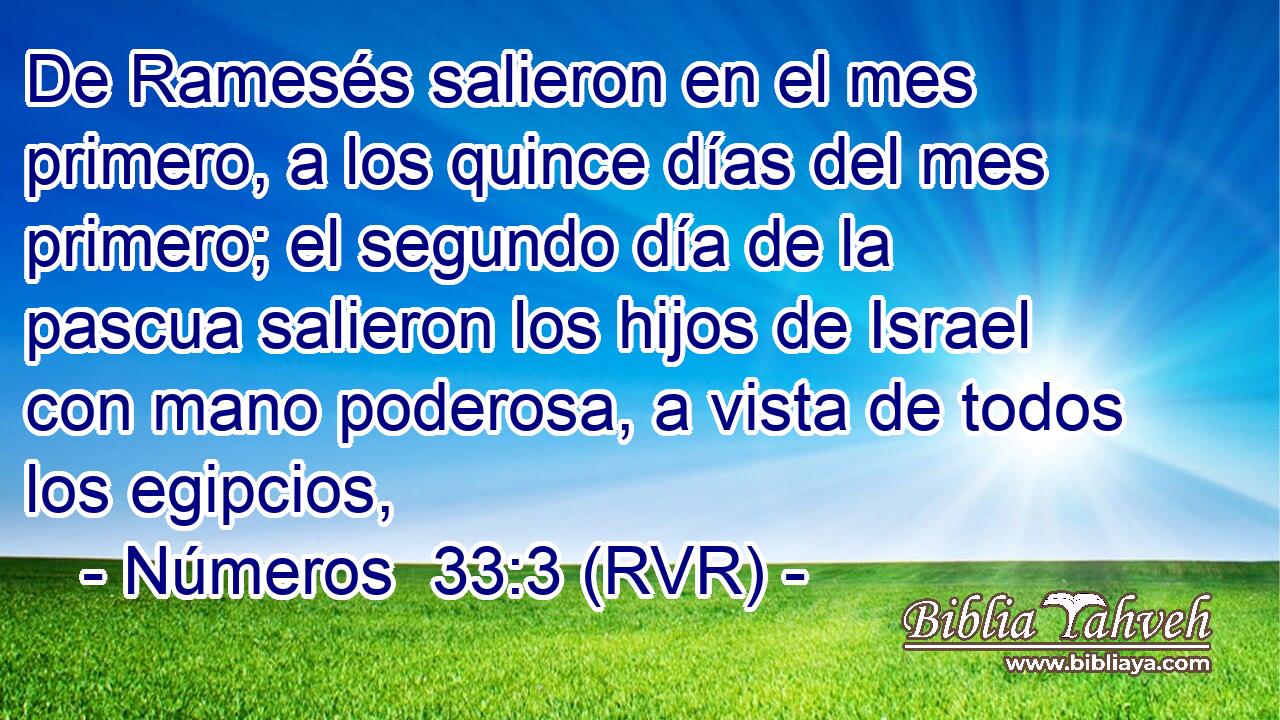 De Ramesés salieron en el mes primero, a los quince días del mes primero; el segundo día de la pascua salieron los hijos de Israel con mano poderosa, a vista de todos los egipcios,