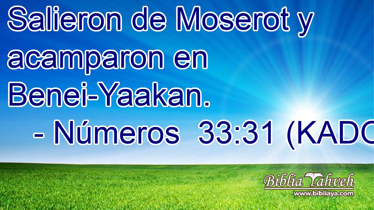  Salieron de Moserot y acamparon en Benei-Yaakan. 