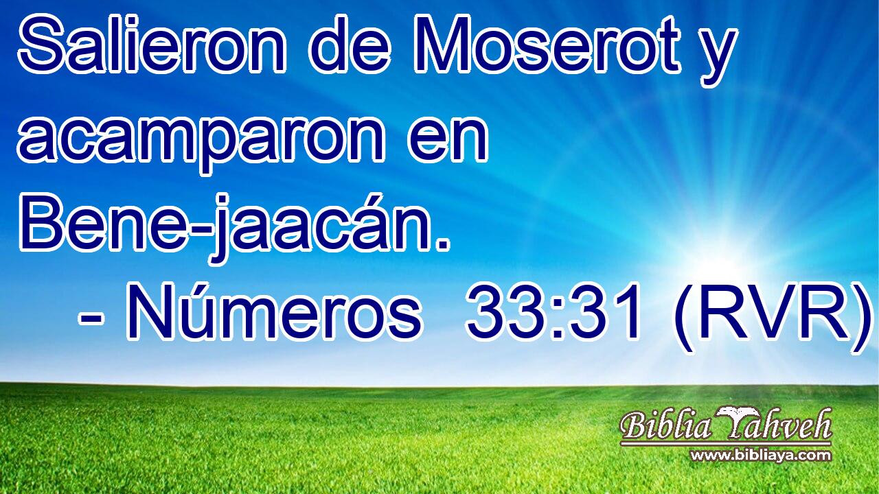 Salieron de Moserot y acamparon en Bene-jaacán.