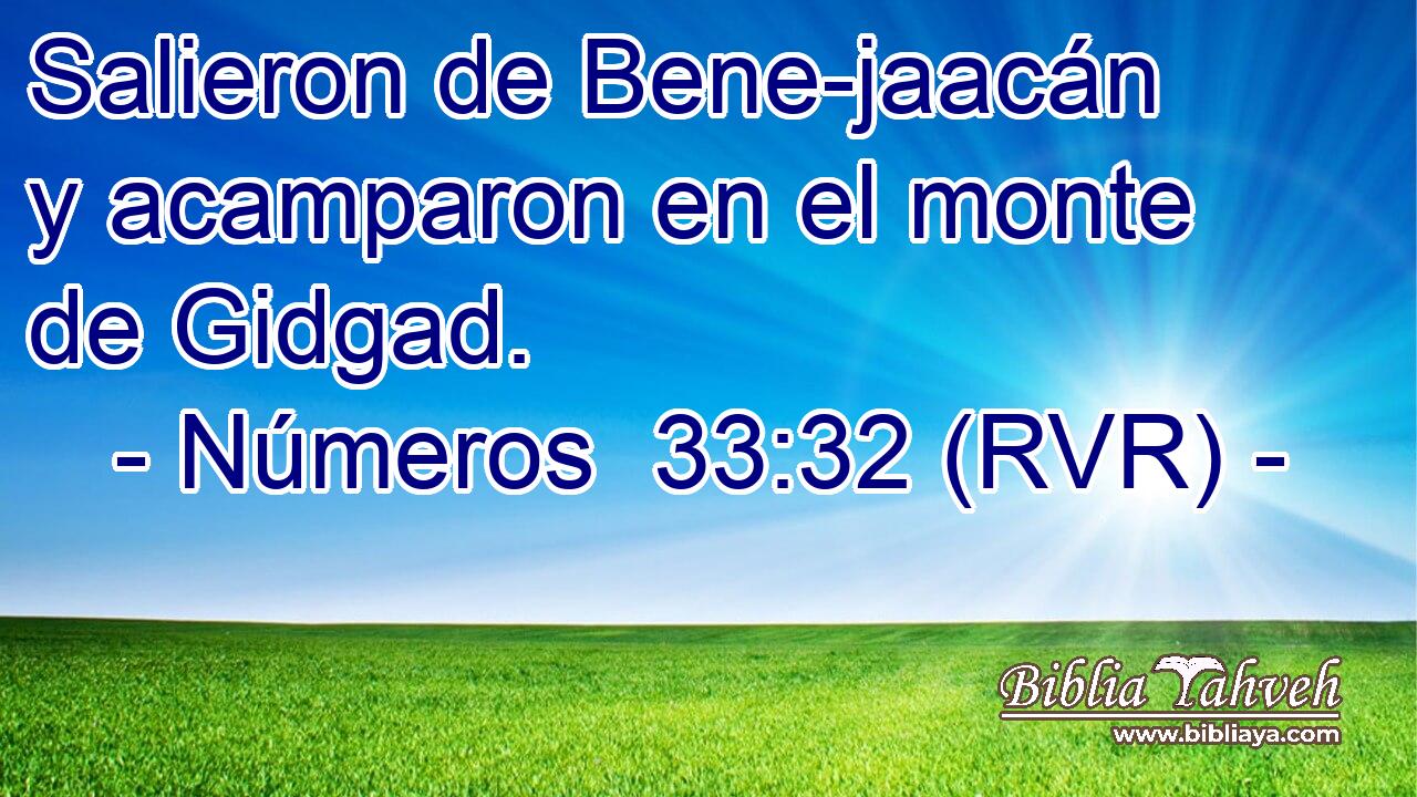 Salieron de Bene-jaacán y acamparon en el monte de Gidgad.
