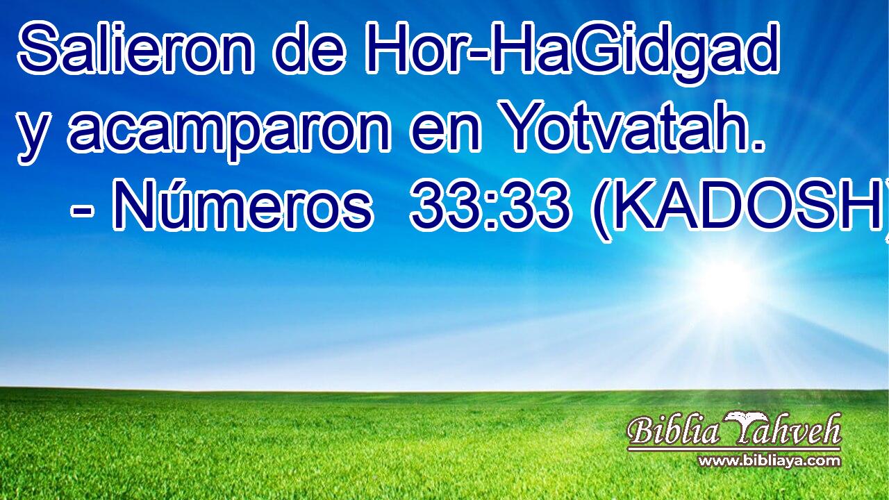  Salieron de Hor-HaGidgad y acamparon en Yotvatah. 