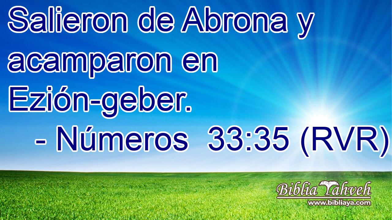 Salieron de Abrona y acamparon en Ezión-geber.