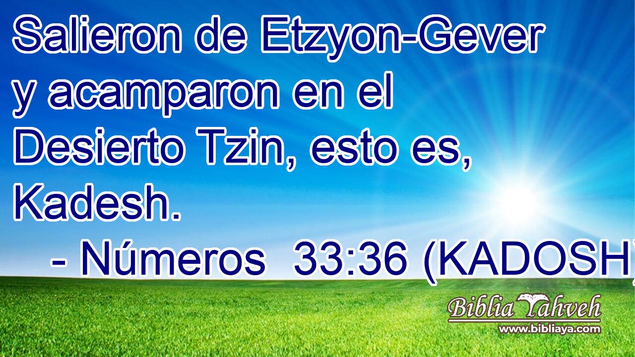  Salieron de Etzyon-Gever y acamparon en el Desierto Tzin, esto es, Kadesh. 