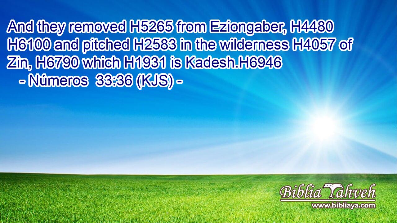 And they removed H5265 from Eziongaber, H4480  H6100 and pitched H2583 in the wilderness H4057 of Zin, H6790 which H1931 is Kadesh.H6946