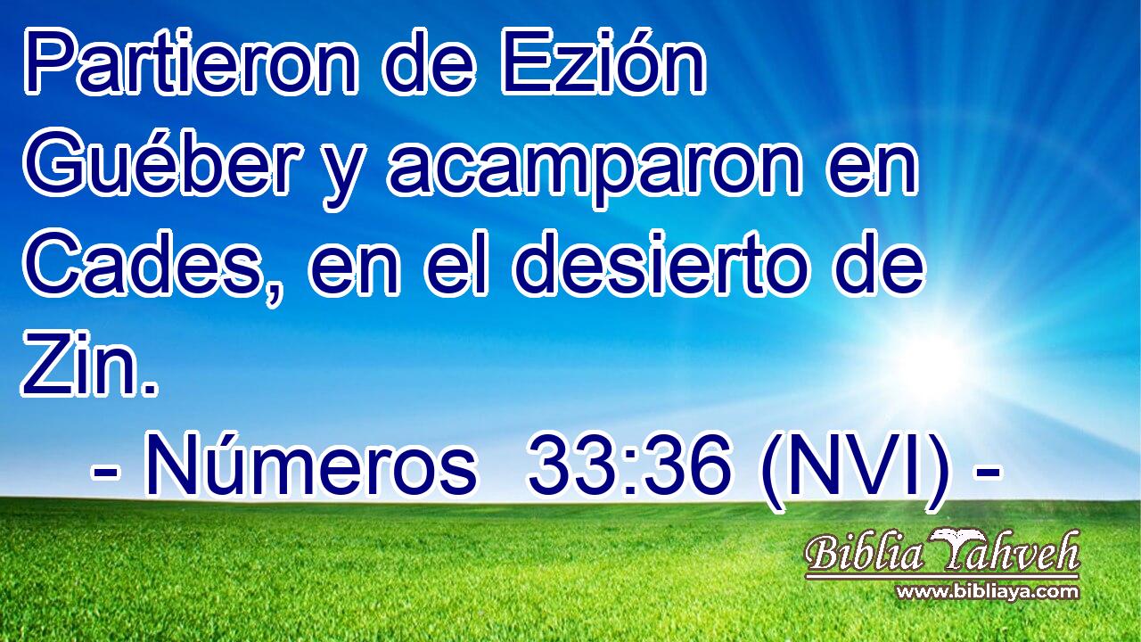  Partieron de Ezión Guéber y acamparon en Cades, en el desierto de Zin. 
