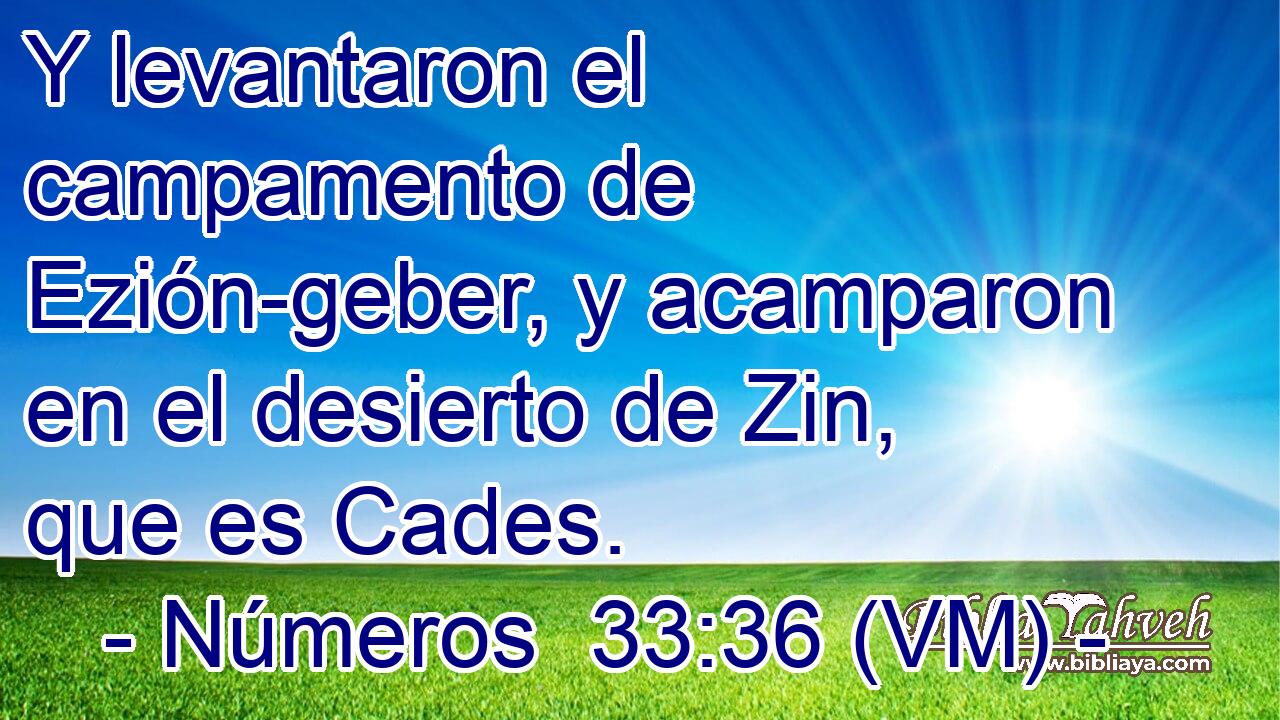  Y levantaron el campamento de Ezión-geber, y acamparon en el desierto de Zin, que es Cades. 