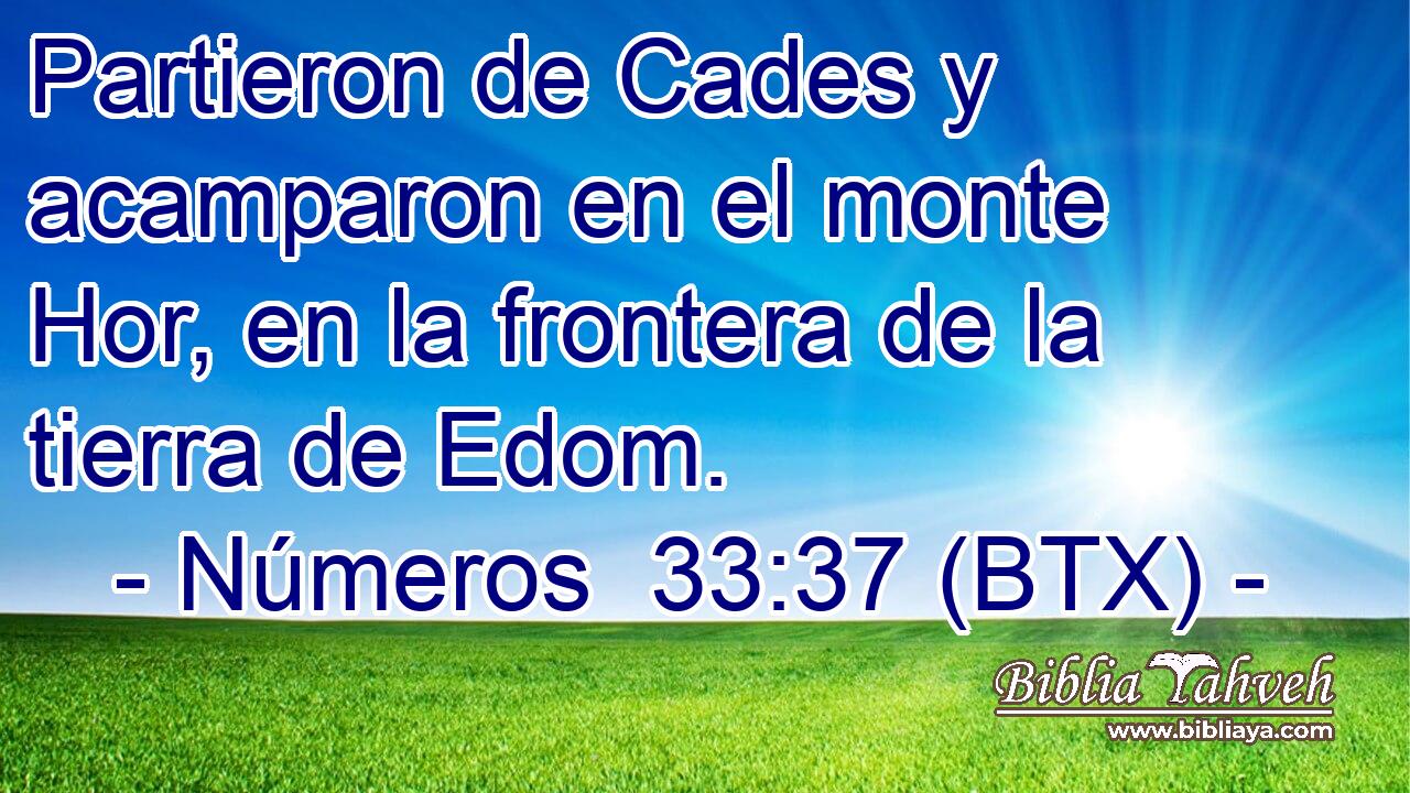Partieron de Cades y acamparon en el monte Hor, en la frontera de la tierra de Edom.