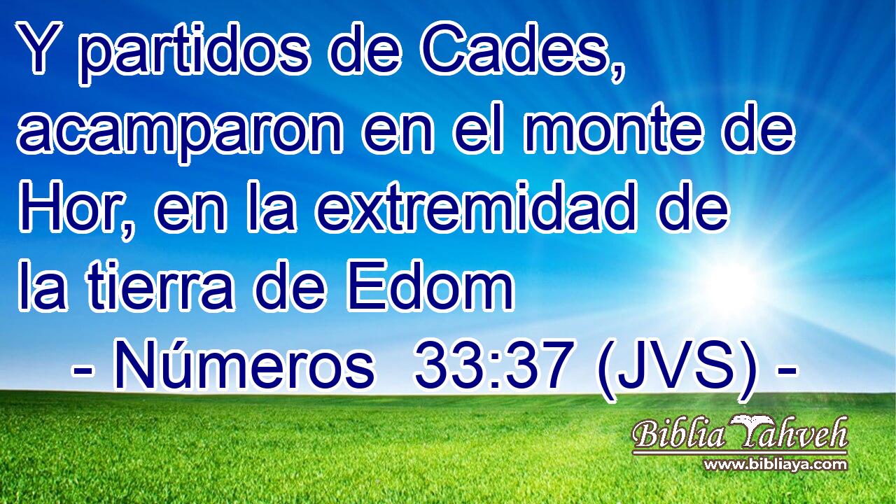 Y partidos de Cades, acamparon en el monte de Hor, en la extremidad de la tierra de Edom
