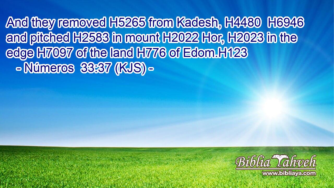 And they removed H5265 from Kadesh, H4480  H6946 and pitched H2583 in mount H2022 Hor, H2023 in the edge H7097 of the land H776 of Edom.H123
