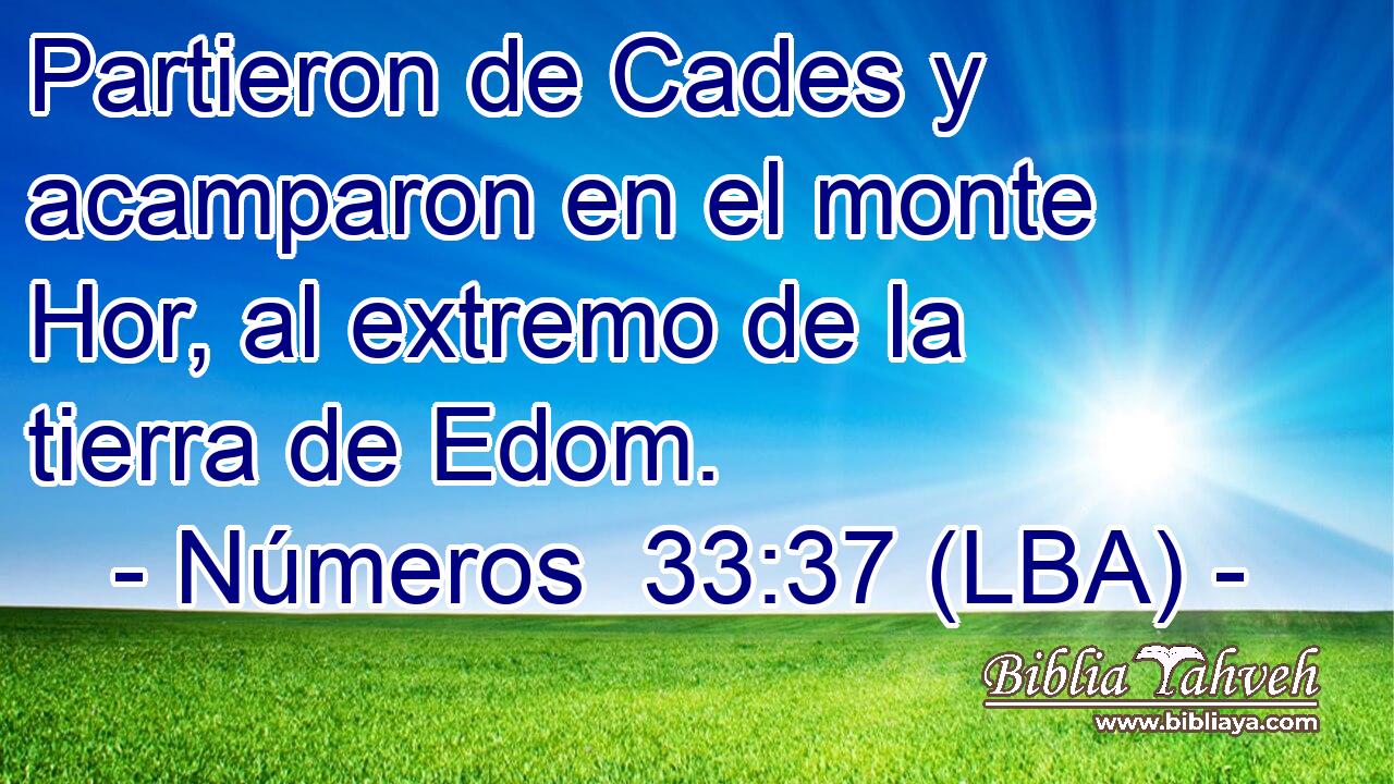 Partieron de Cades y acamparon en el monte Hor, al extremo de la tierra de Edom.