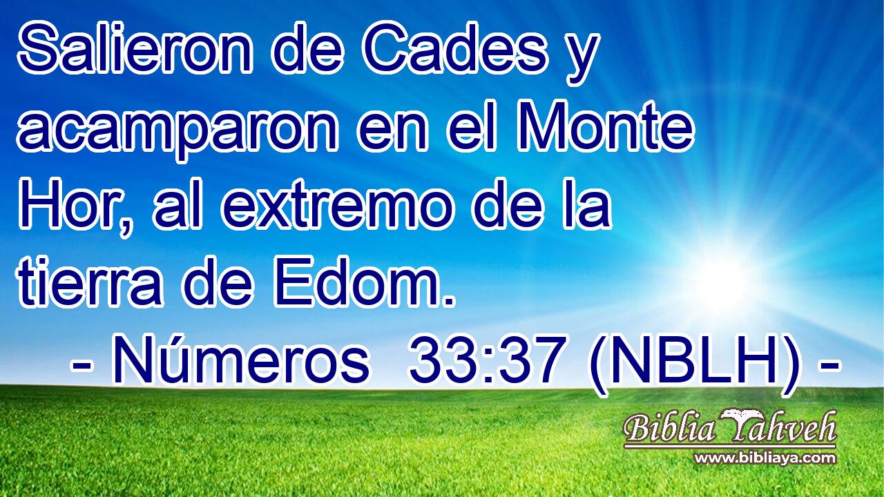  Salieron de Cades y acamparon en el Monte Hor, al extremo de la tierra de Edom. 