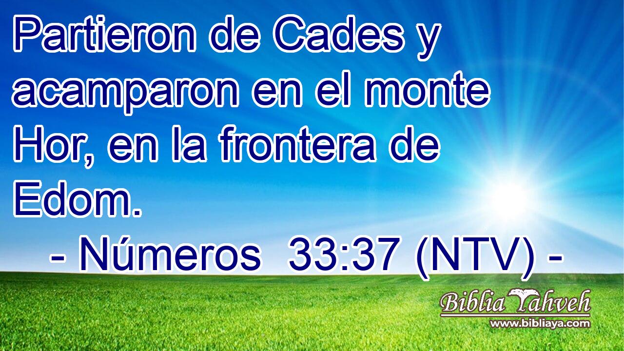 Partieron de Cades y acamparon en el monte Hor, en la frontera de Edom.