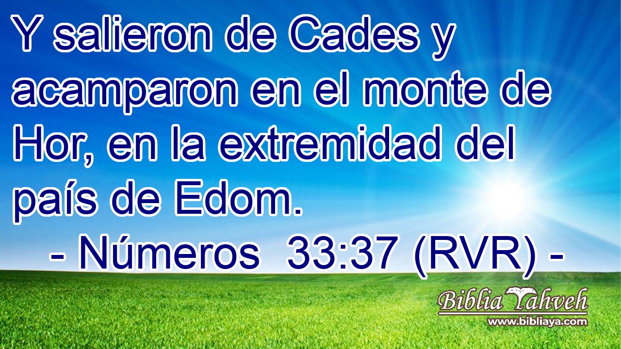 Y salieron de Cades y acamparon en el monte de Hor, en la extremidad del país de Edom.