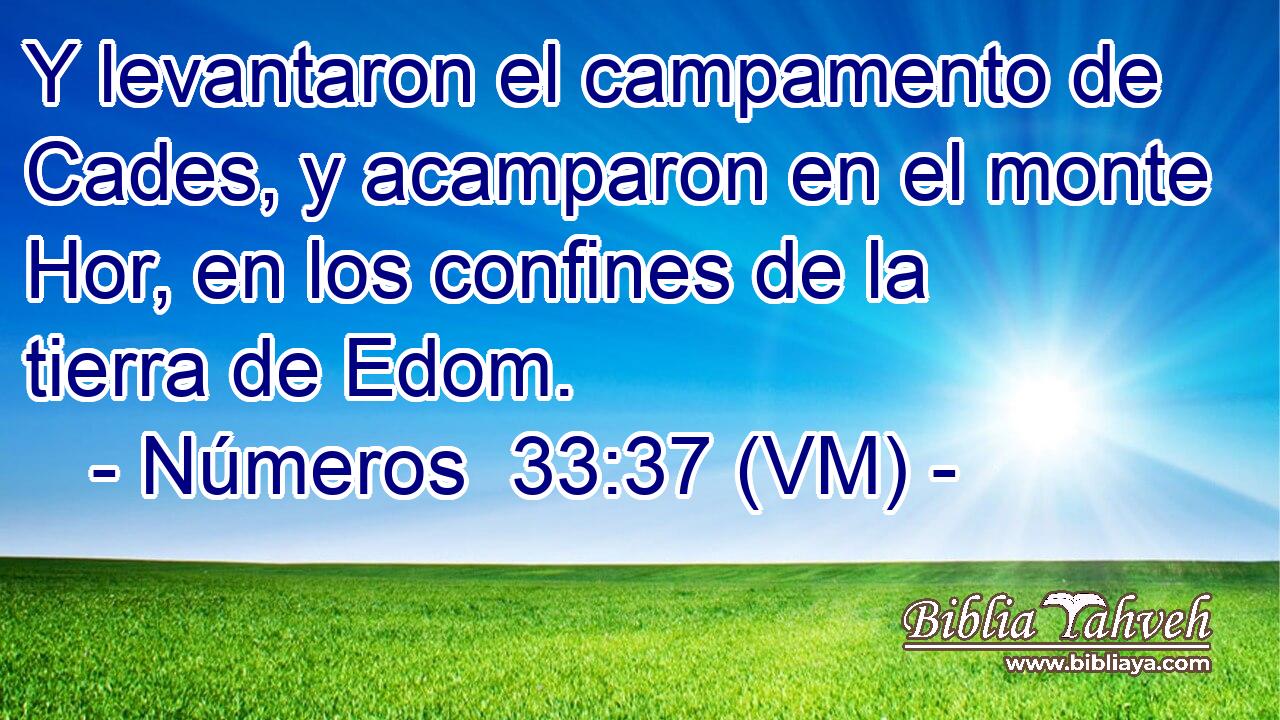  Y levantaron el campamento de Cades, y acamparon en el monte Hor, en los confines de la tierra de Edom. 