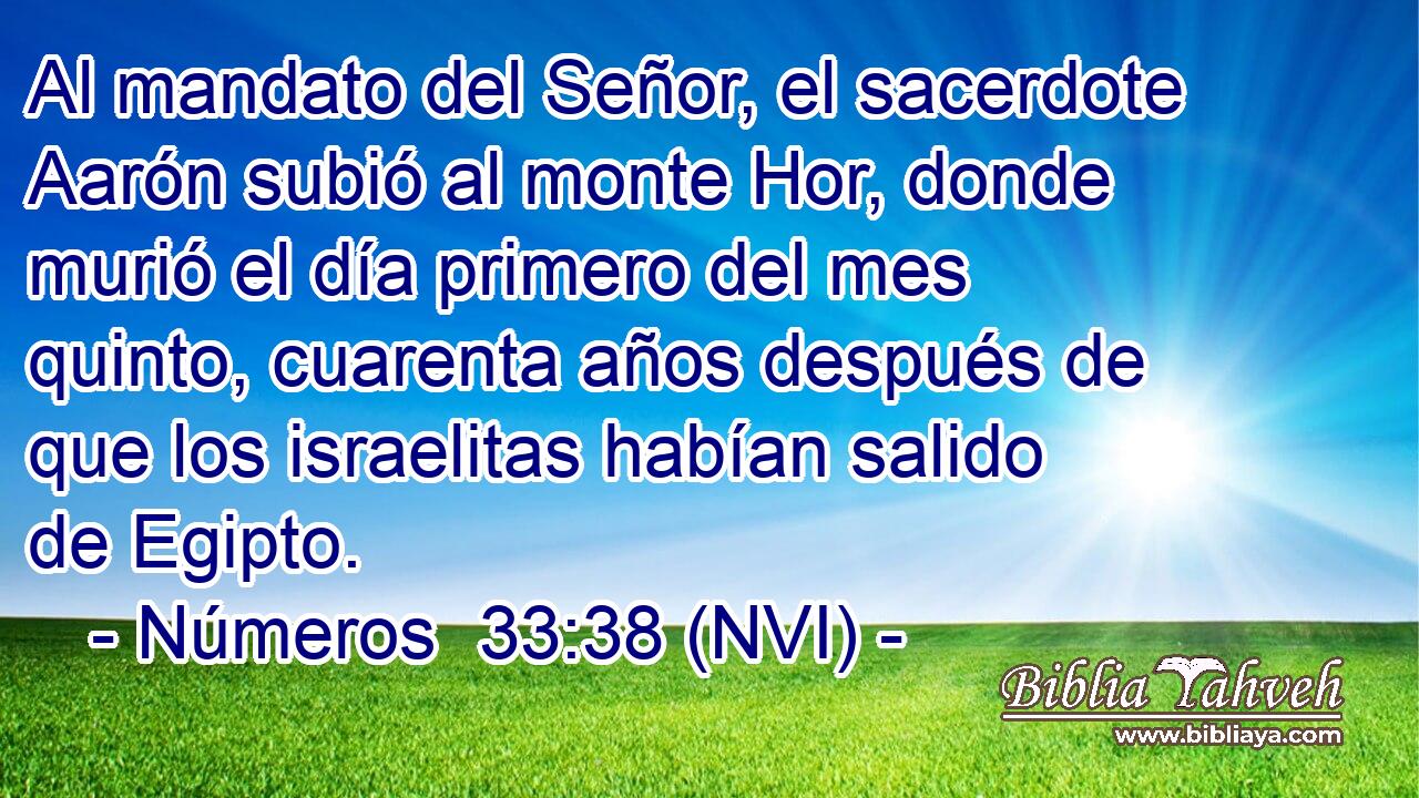  Al mandato del Señor, el sacerdote Aarón subió al monte Hor, donde murió el día primero del mes quinto, cuarenta años después de que los israelitas habían salido de Egipto. 