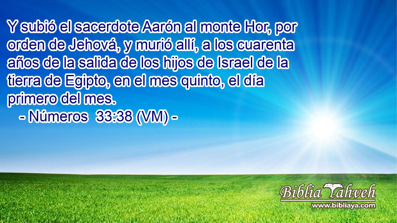  Y subió el sacerdote Aarón al monte Hor, por orden de Jehová, y murió allí, a los cuarenta años de la salida de los hijos de Israel de la tierra de Egipto, en el mes quinto, el día primero del mes. 