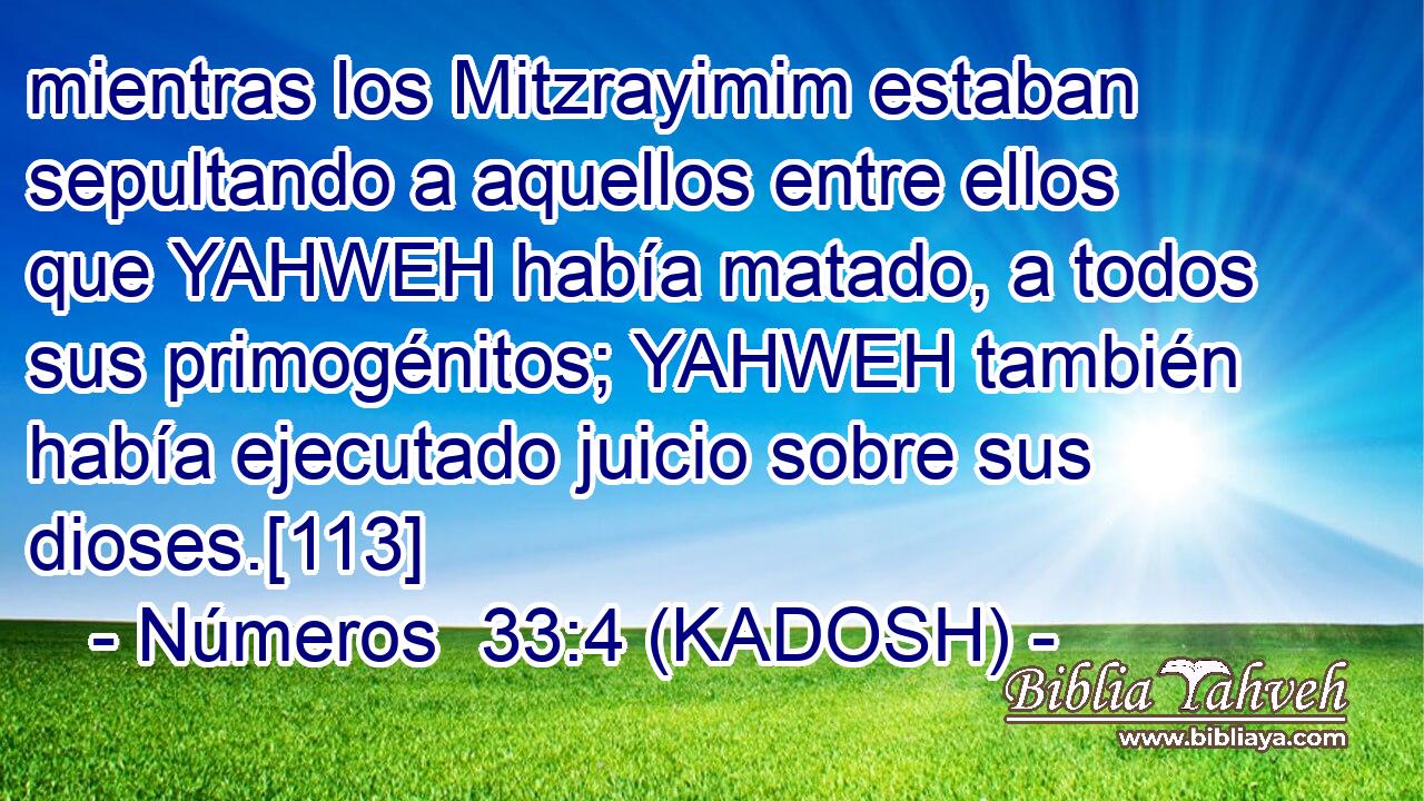  mientras los Mitzrayimim estaban sepultando a aquellos entre ellos que YAHWEH había matado, a todos sus primogénitos; YAHWEH también había ejecutado juicio sobre sus dioses.[113] 