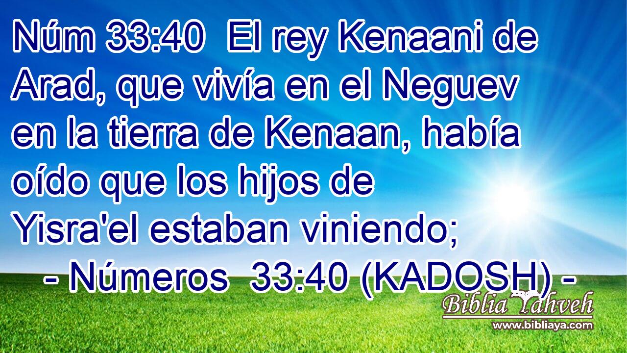  El rey Kenaani de Arad, que vivía en el Neguev en la tierra de Kenaan, había oído que los hijos de Yisra'el estaban viniendo; 