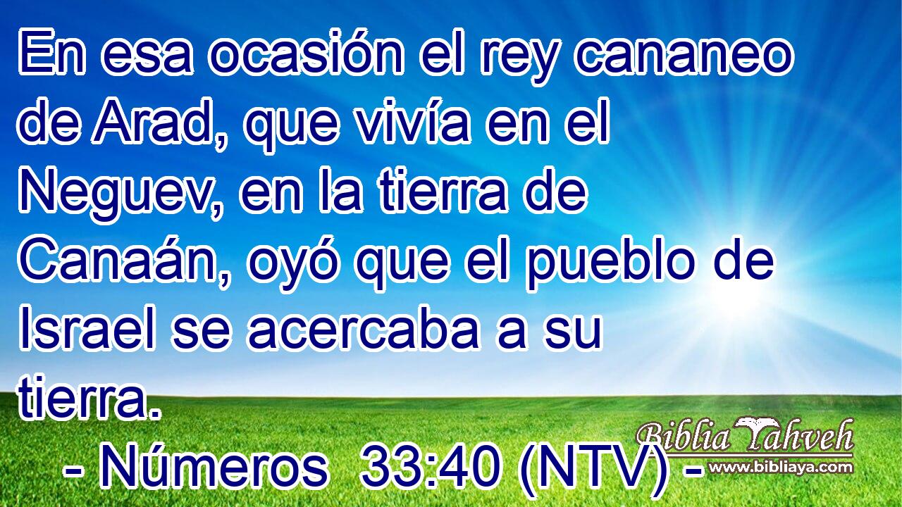 En esa ocasión el rey cananeo de Arad, que vivía en el Neguev, en la tierra de Canaán, oyó que el pueblo de Israel se acercaba a su tierra.