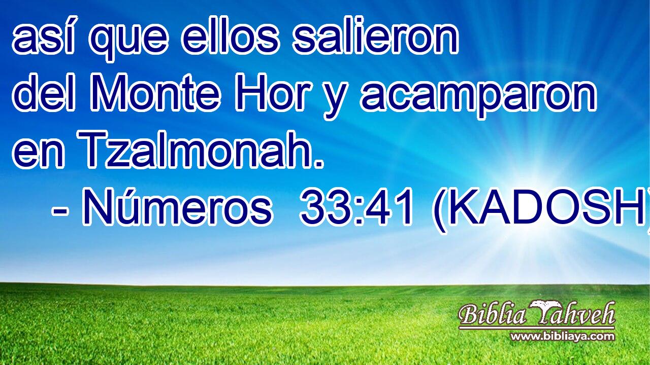  así que ellos salieron del Monte Hor y acamparon en Tzalmonah. 