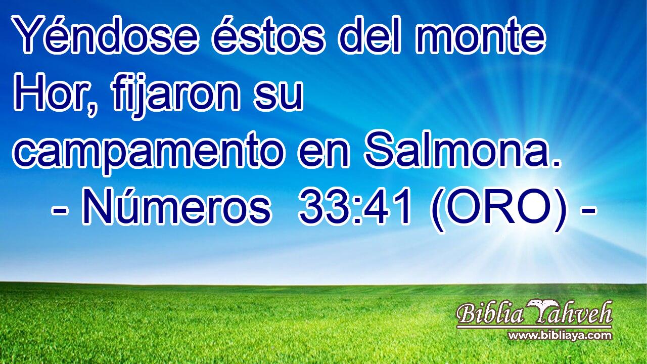  Yéndose éstos del monte Hor, fijaron su campamento en Salmona. 