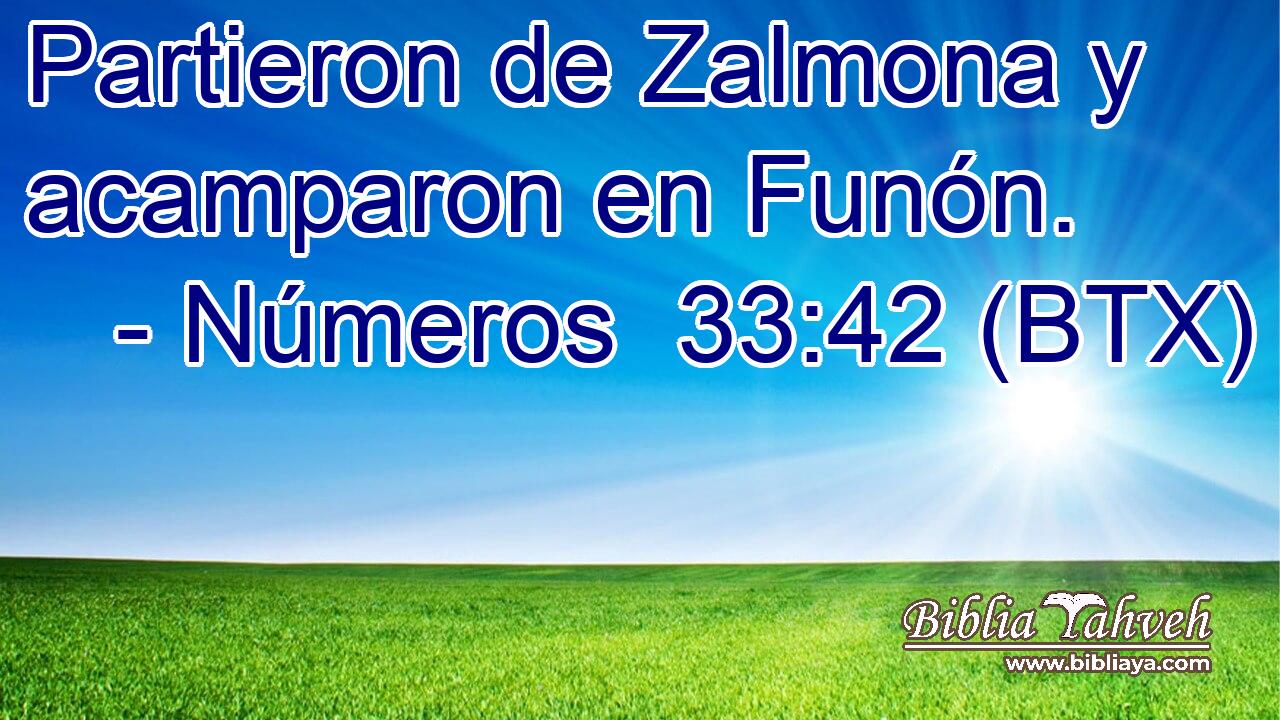 Partieron de Zalmona y acamparon en Funón.