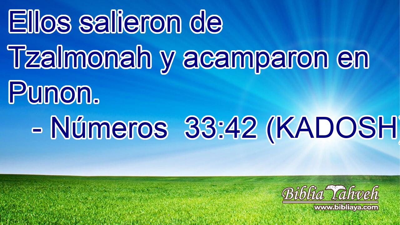  Ellos salieron de Tzalmonah y acamparon en Punon. 