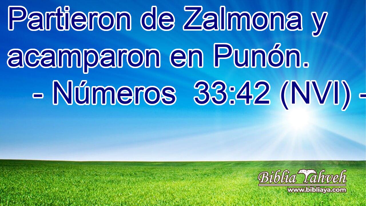  Partieron de Zalmona y acamparon en Punón. 