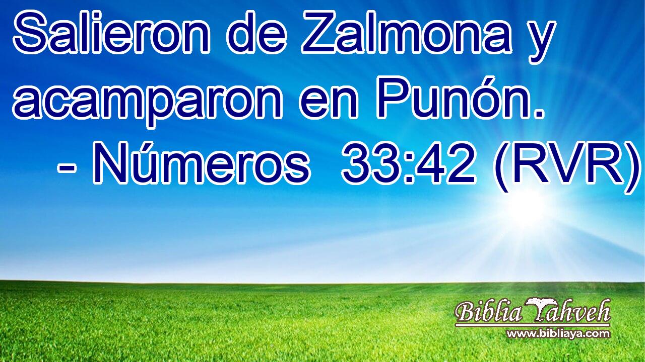 Salieron de Zalmona y acamparon en Punón.