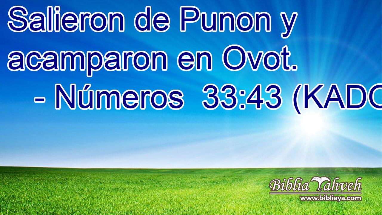  Salieron de Punon y acamparon en Ovot. 