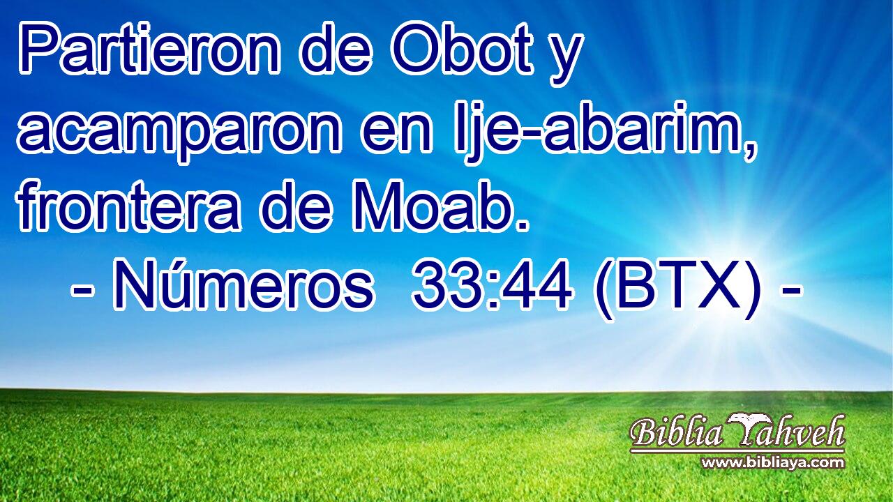 Partieron de Obot y acamparon en Ije-abarim, frontera de Moab.