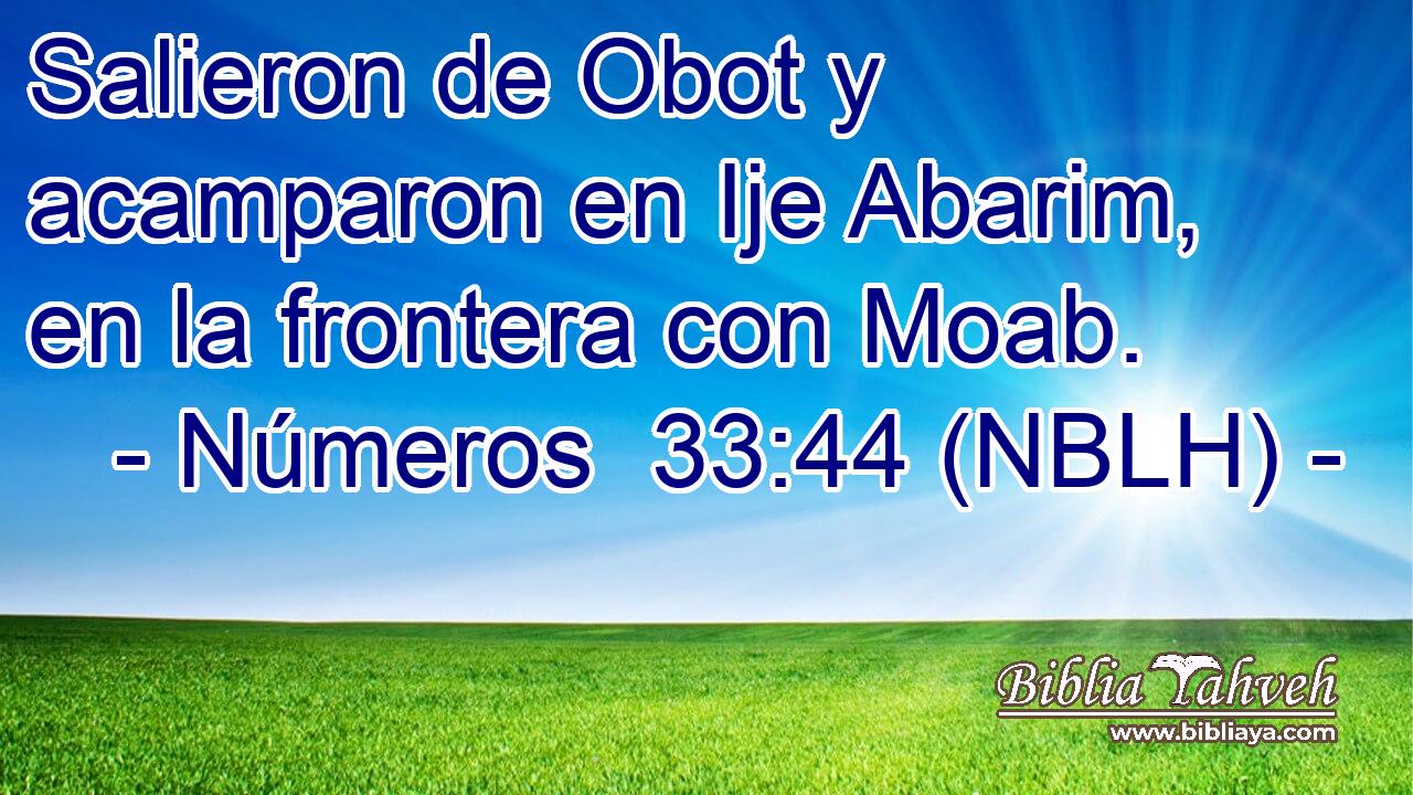  Salieron de Obot y acamparon en Ije Abarim, en la frontera con Moab. 