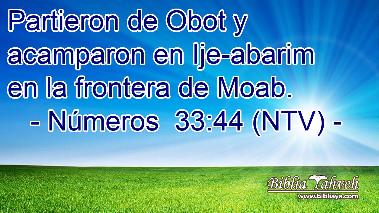Partieron de Obot y acamparon en Ije-abarim en la frontera de Moab.