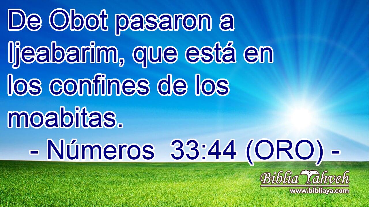  De Obot pasaron a Ijeabarim, que está en los confines de los moabitas. 