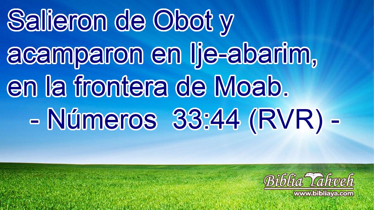 Salieron de Obot y acamparon en Ije-abarim, en la frontera de Moab.
