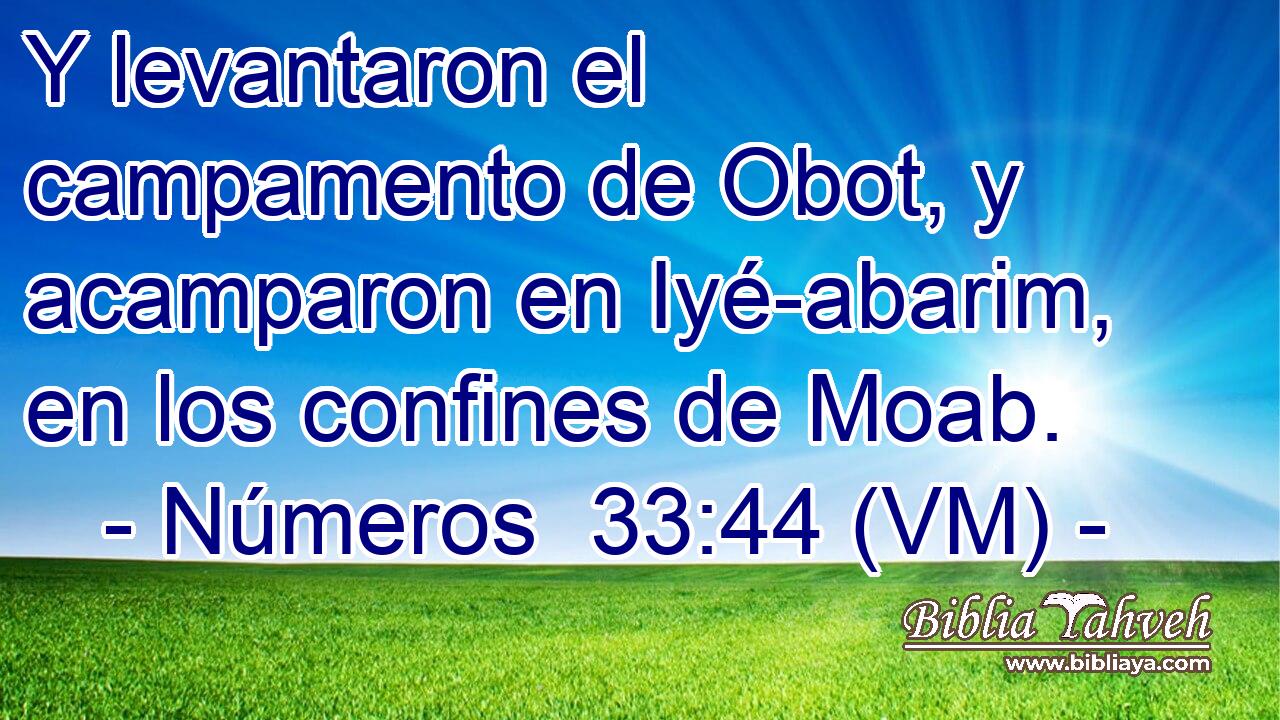  Y levantaron el campamento de Obot, y acamparon en Iyé-abarim, en los confines de Moab. 